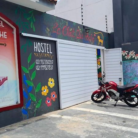 "Le Chat Qui Peche" Hostel A 150 Metros Da Praia De Pajucara Масейо Екстер'єр фото